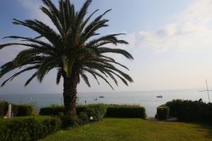 Beach Front Chanioti Halkidiki Greece