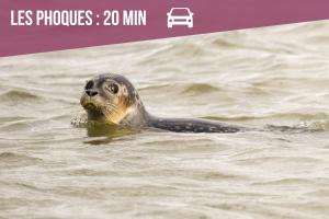 Appartements Augustine Cosy Studio Vue Mer - Parking gratuit : photos des chambres