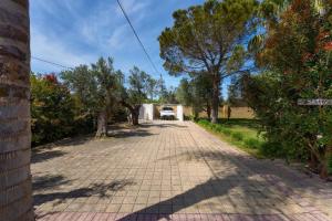 B&B Paduli Piani girasole