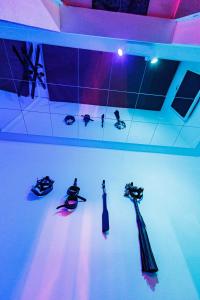 Appartements Nuit Sauvage - Love Room pour Fantasmes Realises : photos des chambres