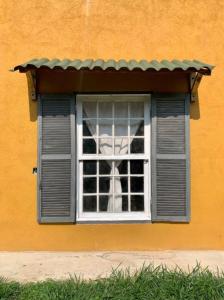 Patizal - Santuário de animais