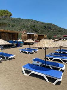 The Garden Tiny Homes