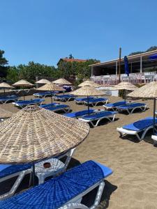 The Garden Tiny Homes