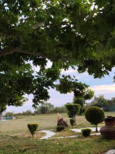 Villa Anestaki by the sea