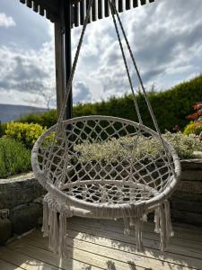 Cozy basement apartment