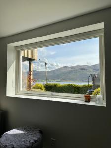 Cozy basement apartment