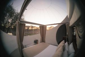 Campera Hotel Burbuja