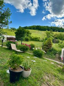 Appartements L-Ecrin des Arts - appartement avec jardin au coeur de la Cote des Blancs : photos des chambres