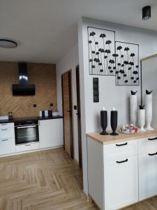 Domek letniskowy - Leśna chmurka - sauna, bania