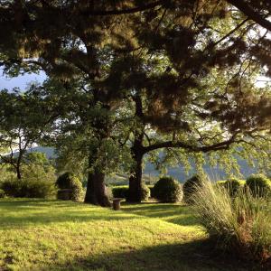 Agriturismo Il Ponticello