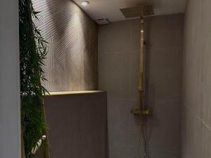 Appartements Le Japandi - appartement cosy & friendly : photos des chambres