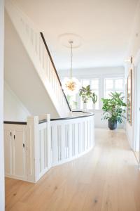 Stor palævilla ved skov