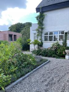 Stor palævilla ved skov