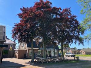 Klassiek veluws huis onder de beuken