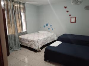 Lirio Green hostal