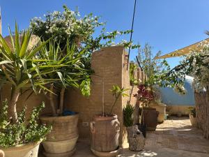 Suite Printemps Ryan