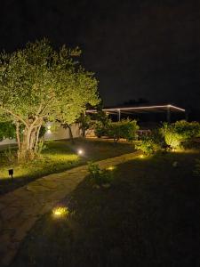 Studio Apartment Ceca***