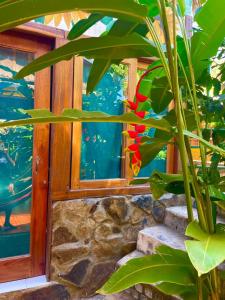 Lazy Crab Hostel