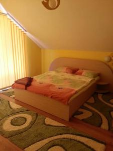 Casa Brad Sovata