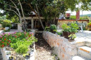 Apartments with parking space Dol, Hvar - 24122