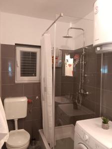 Apartments with parking space Sibenik - 24537