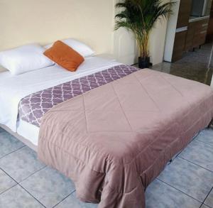 centrico departamento