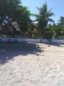 Las Margaritas Frente al Mar 2