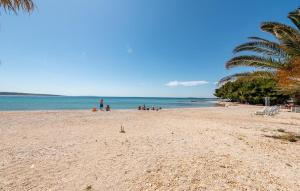 Nice Apartment In Povljana With Wifi