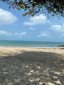 Las Margaritas Frente al Mar 2