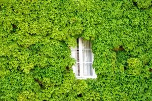 Hôtel de France - Lods