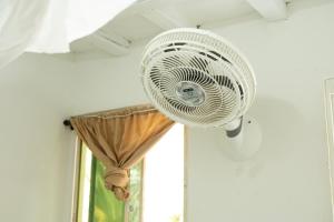 Dogsheltercafepalomino