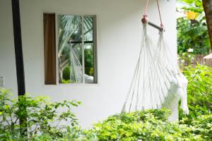 Dogsheltercafepalomino