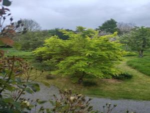 Maisons de vacances Well-equipped mobile home with garden in Normandy : photos des chambres