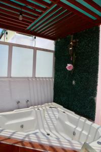 Casa Colibri Teques
