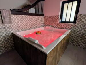 Maisons de vacances Evasion Bien-Etre a Ray-sur-Saone - FR-1-583-389 : photos des chambres