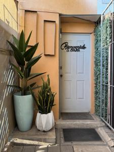 Casa YON pet friendly,Netflix,Amazon Prime,wifi alta velocidad, estacionamiento gratis