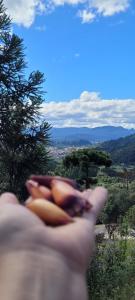 Pousada Encantos de Urubici