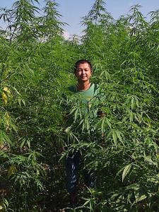 Muangkham Peaceandlove Farm