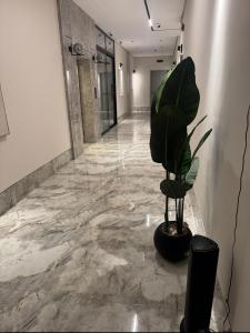 The Rose Apartment الدمام