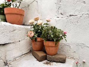 K POP Stay Seoul Private House for 6 Near Gwanghwamun