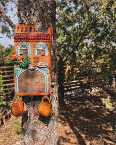 Pequeña cabaña mágica con chimenea interior