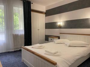 Hotel Hefaistos - Sovata