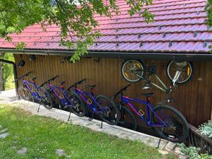 D.I.M. Holiday House