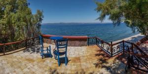 Lela Kaptani Eftalou Olive Grove