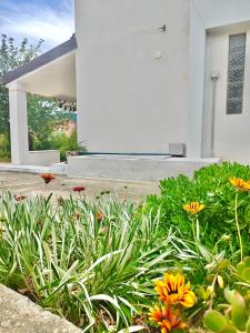 Casa Carrubbo -Jennas-