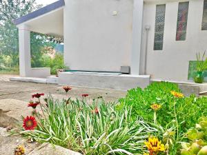 Casa Carrubbo -Jennas-