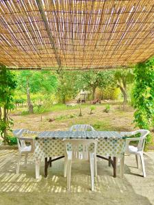 Casa Carrubbo -Jennas- img24
