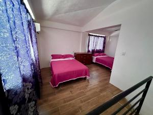 Departamento céntrico Lila