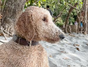 EIWA Nest Self-Service Apartment - AC, Outdoor Tub, Pet Friendly with a Fee