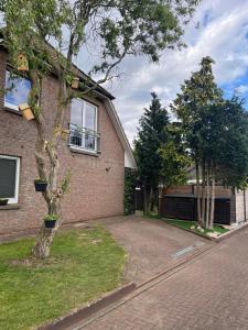 ZWITSCHERNEST Stilvolle helle Ferienwohnung Gästezimmer Monteurwohnung für 1 bis 6 Personen 3 Zimmer 60 qm